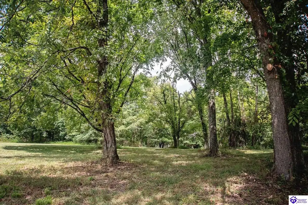 13300 Scottsville Road, Lucas, KY 42156 - #1