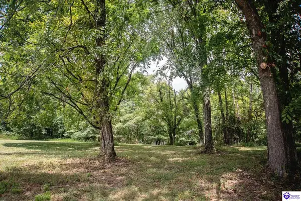 13300 Scottsville Road, Lucas, KY 42156