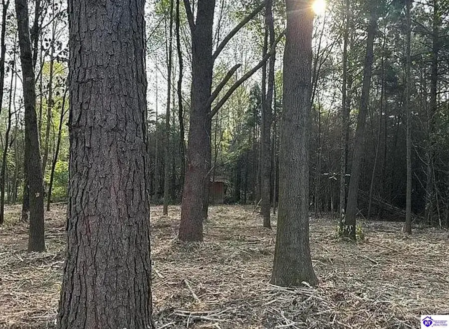 125 Sassy Ct, Campbellsville, KY 42718 - Image #2