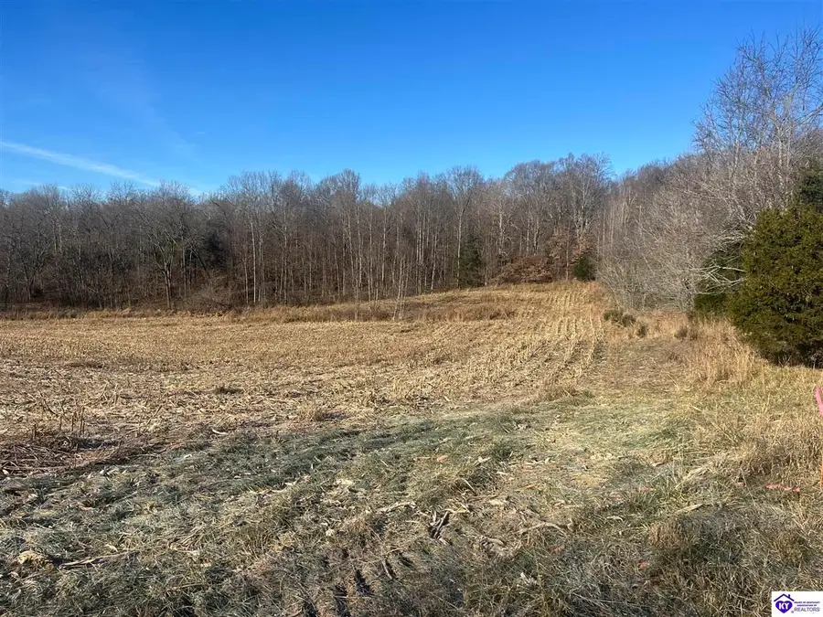 7611 Salt River Road, Cecilia, KY 42724 - Image #3