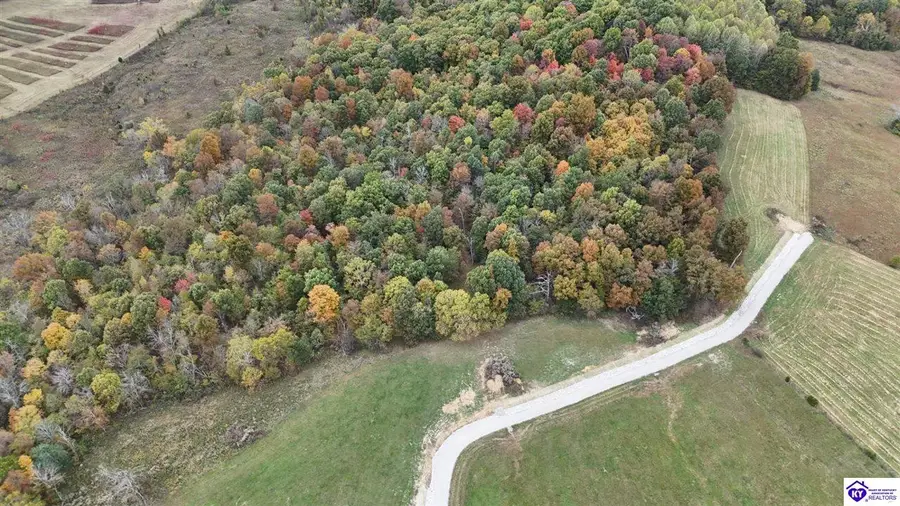 Tract 5 & 8 Troutman Lane, Clarkson, KY 42726-9999 - #3