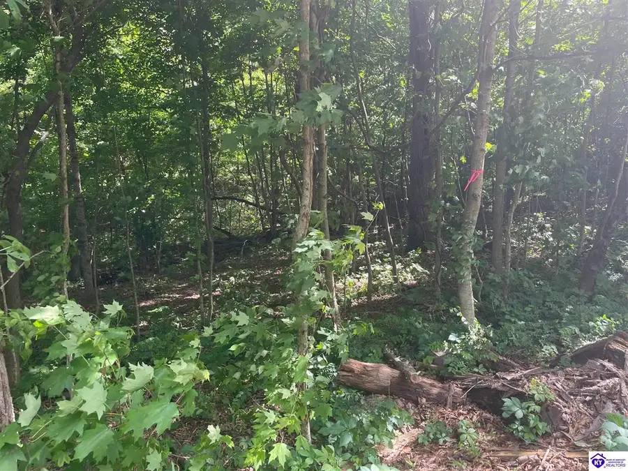 Lots 1-6 Millcreek Road, Radcliff, KY 40160 - #3