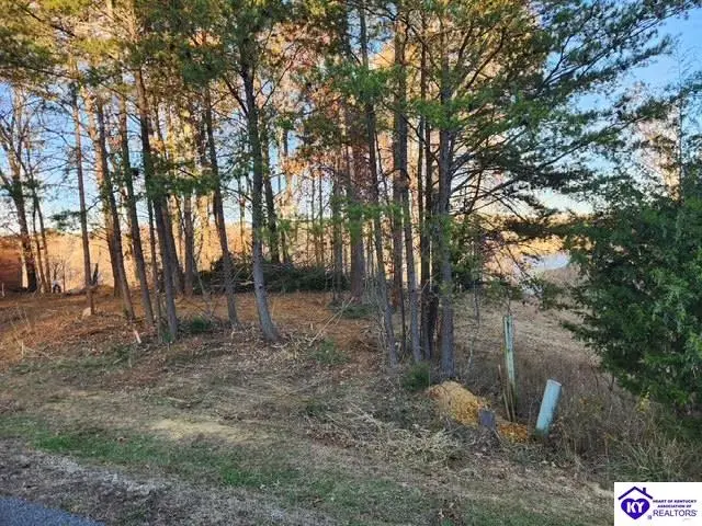 609 Paulette Way, Falls Of Rough, KY 40119 - #3