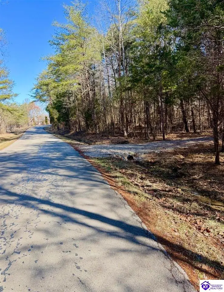 405 Robbin Lane, Cub Run, KY 42729 - #1