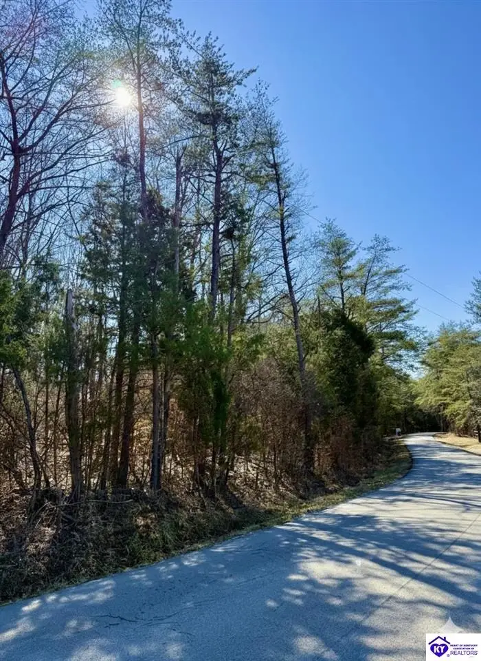 405 Robbin Lane, Cub Run, KY 42729 - #3