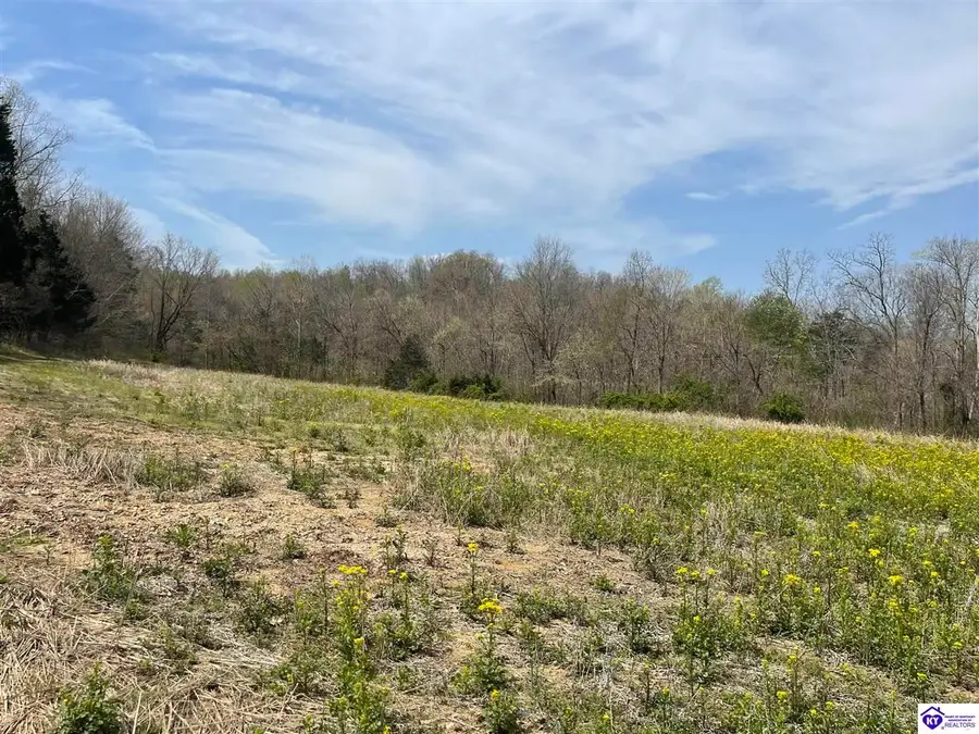 TRACT 3 Price Hill Spur Road, Campbellsville, KY 42718 - #3