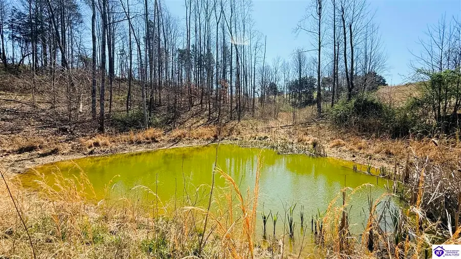 2358 Fry Ridge Road, Greensburg, KY 42743 - #2