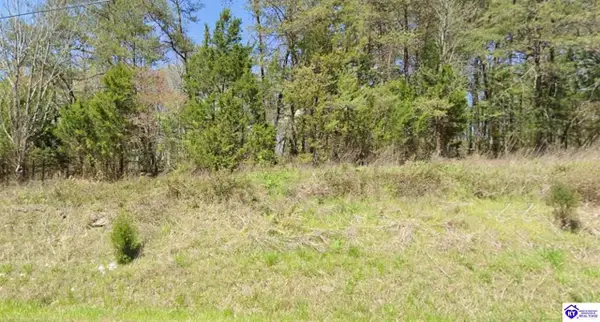 1.91 AC Brier Creek Road, Mammoth Cave, KY 42259