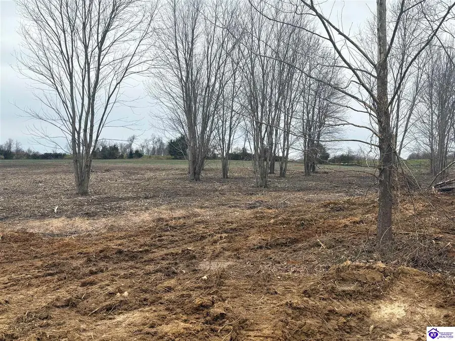 Lot 16 Owl Creek Drive, Vine Grove, KY 40175 - #3