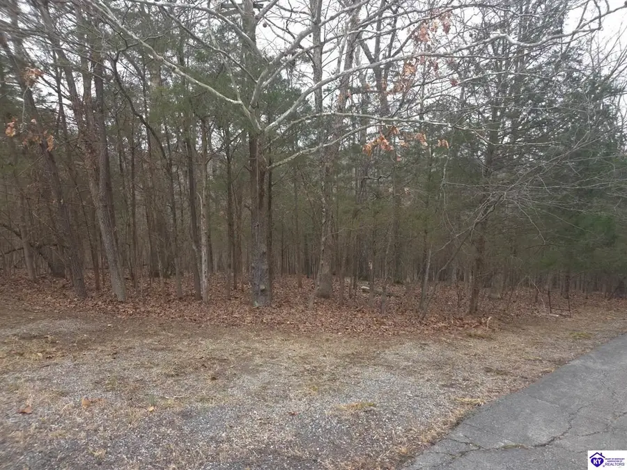 137 Primrose Lane, Brandenburg, KY 40108 - #3