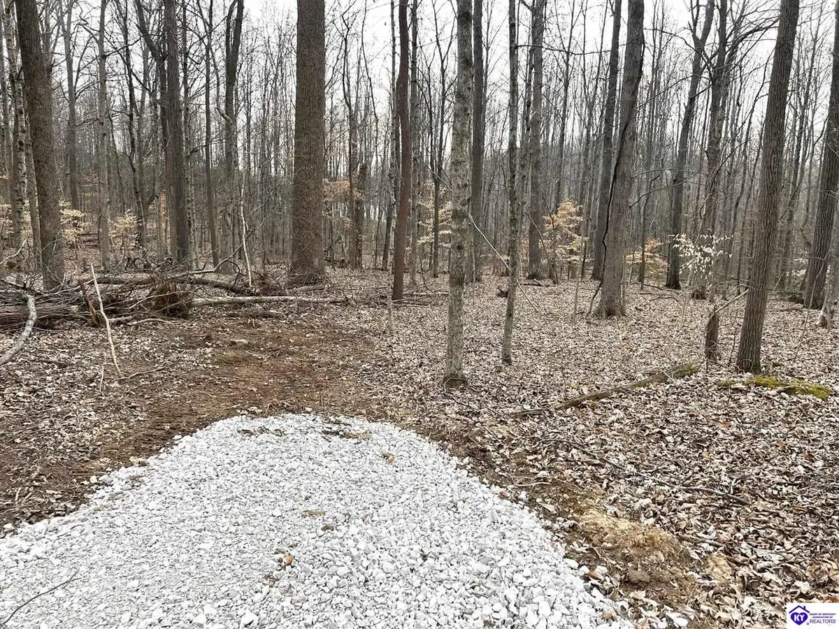 2525 Salem Lake Road, Hodgenville, KY 42748 - #1