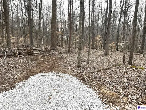 2525 Salem Lake Road, Hodgenville, KY 42748