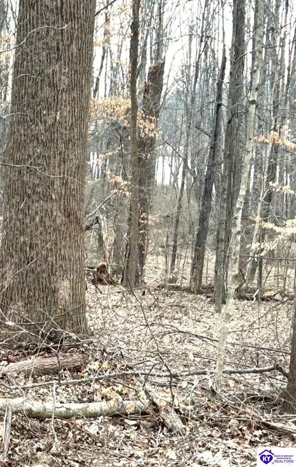 2525 Salem Lake Road, Hodgenville, KY 42748 - #2