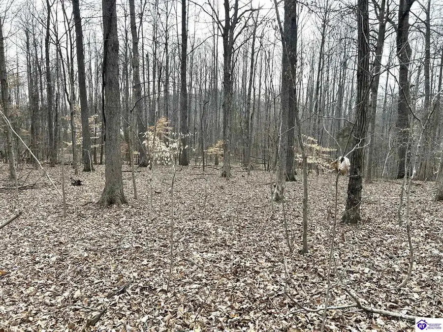 2525 Salem Lake Road, Hodgenville, KY 42748 - #3