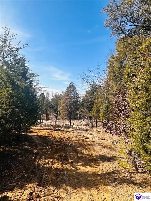 350 Cave Creek Road, Falls Of Rough, KY 40119