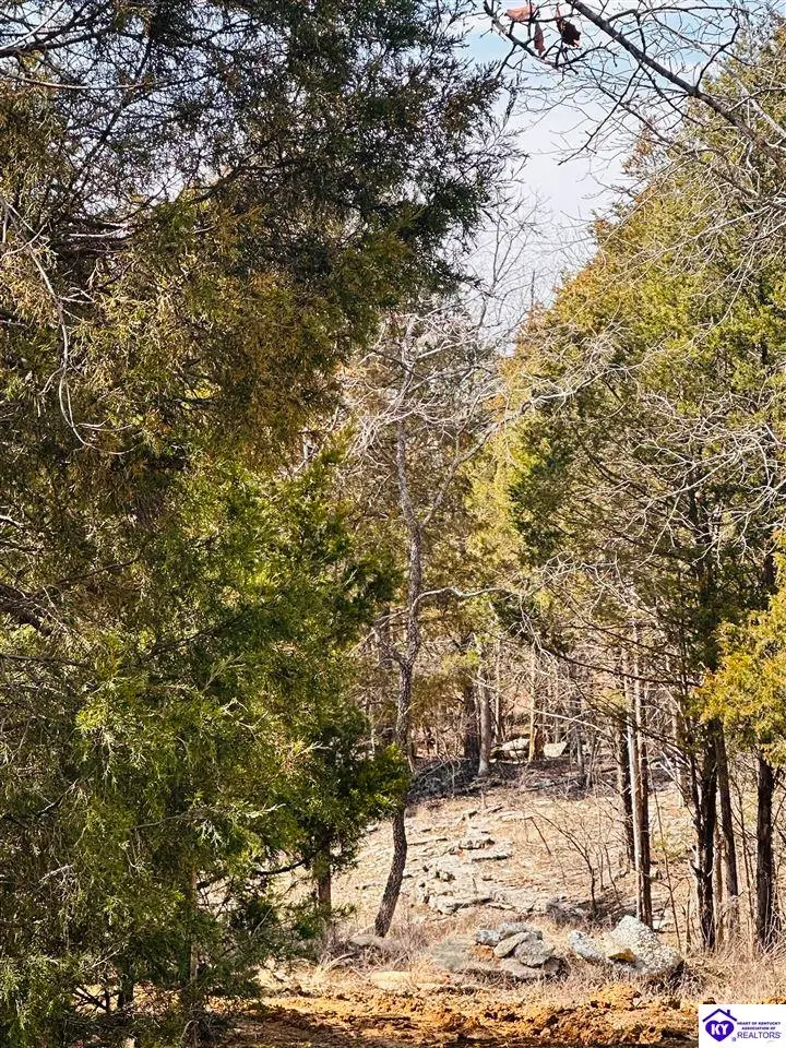 350 Cave Creek Road, Falls Of Rough, KY 40119 - #2