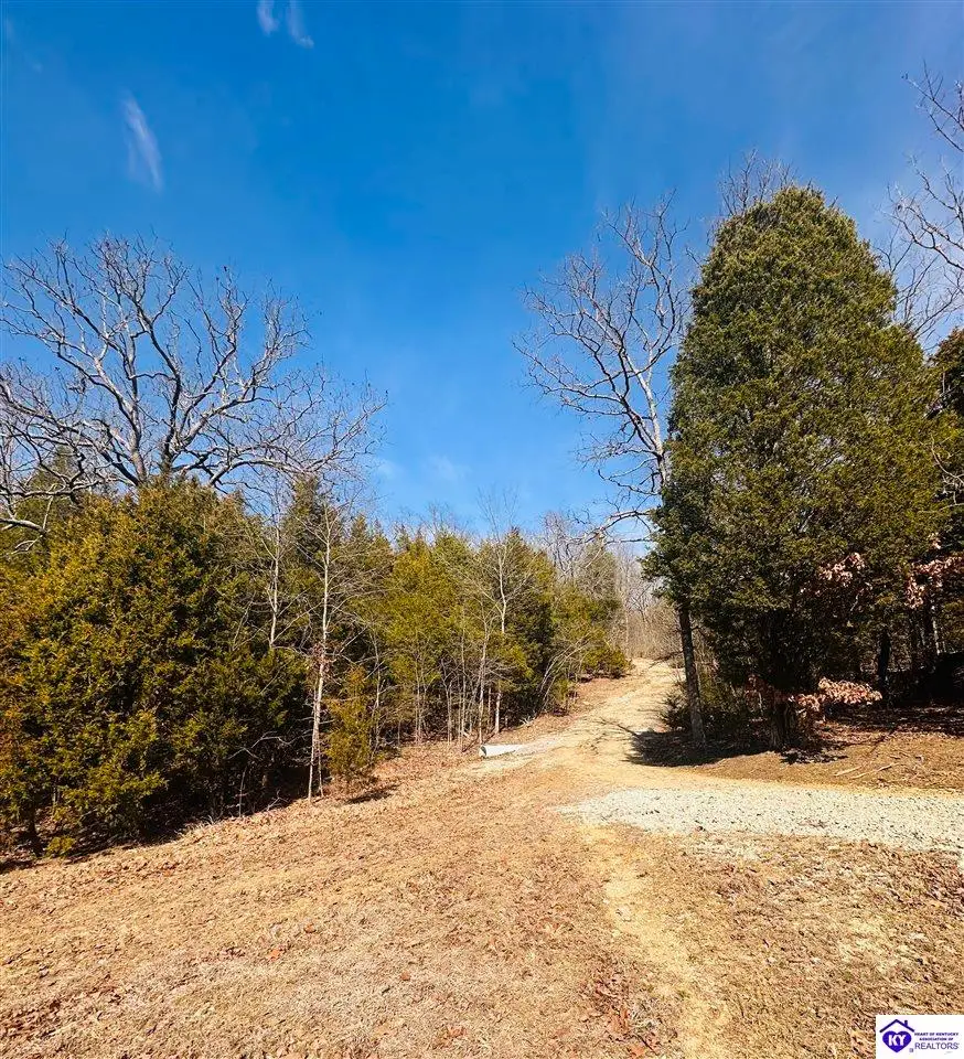 350 Cave Creek Road, Falls Of Rough, KY 40119 - #3