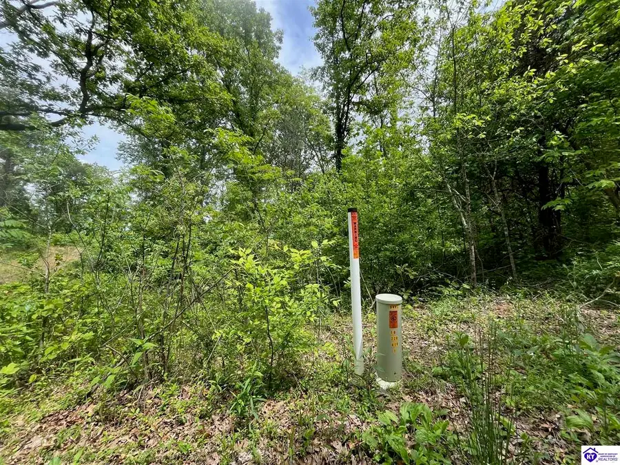 2208 Rocky Hill Road, Bonnieville, KY 42713 - #2