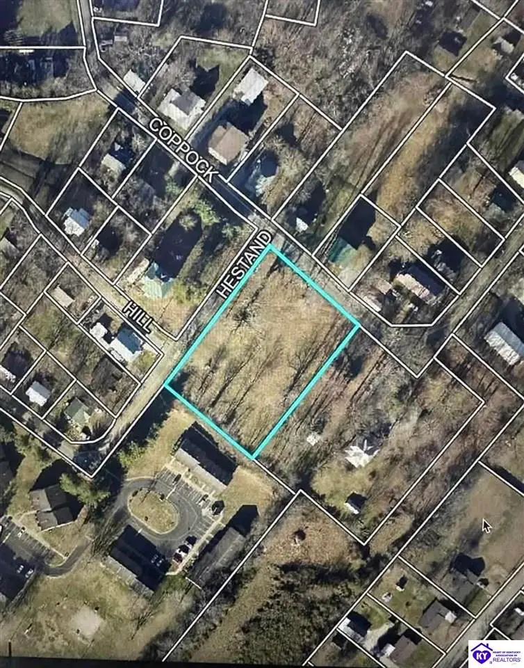 137 Coppock Street, Campbellsville, KY 42718 - #3