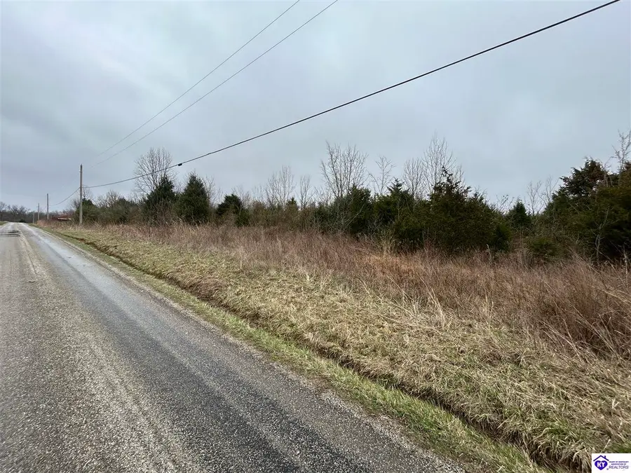 1149 Custer Roberts Hollow Lane, Custer, KY 40115 - #2