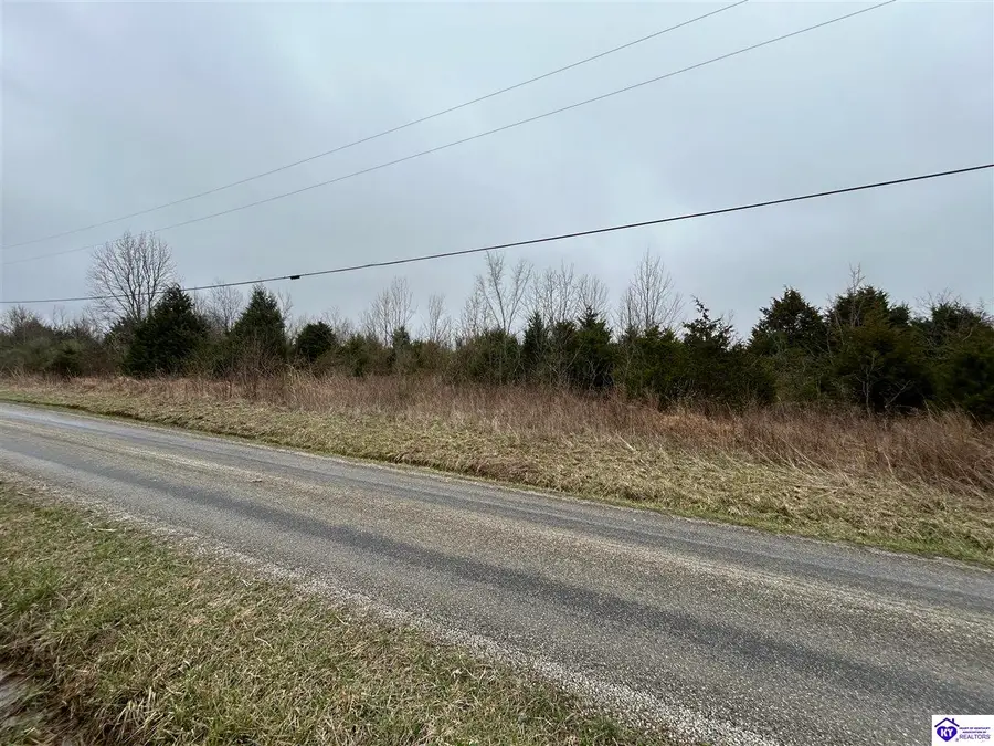 1149 Custer Roberts Hollow Lane, Custer, KY 40115 - #3