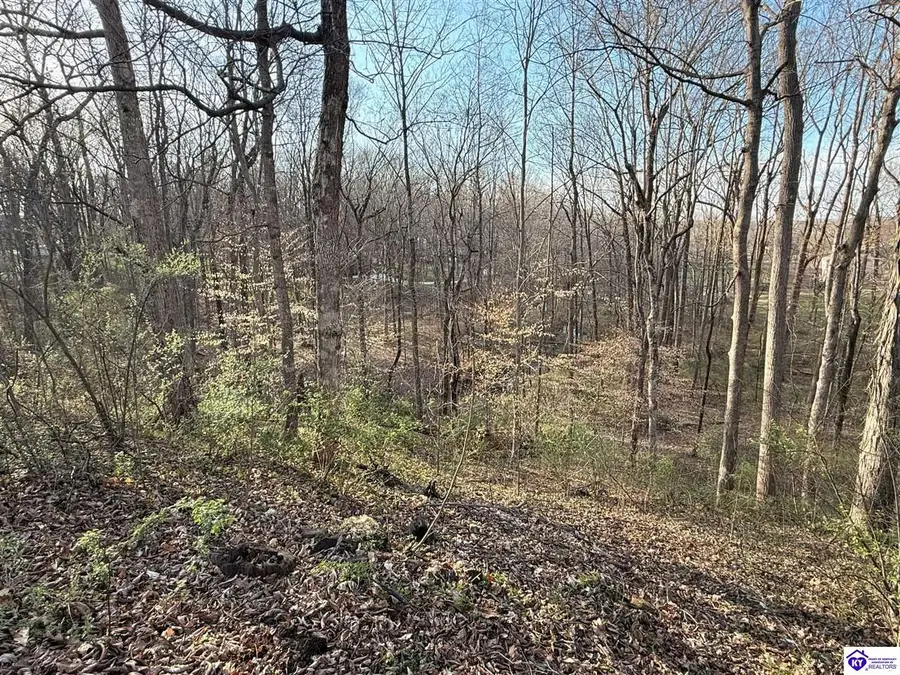 Lot 6 Tanglewood Drive, Glasgow, KY 42141 - #2