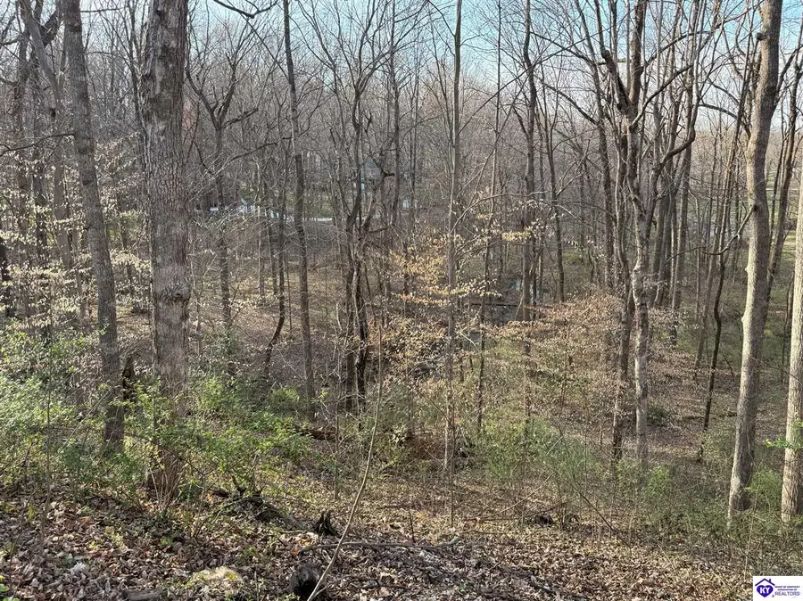 Lot 6 Tanglewood Drive, Glasgow, KY 42141 - #3