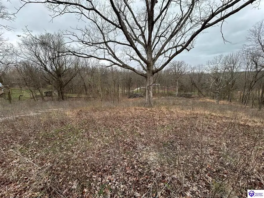 185 Rhodelia Road, Payneville, KY 40157 - #2