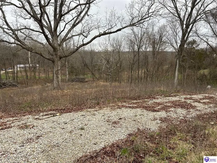 185 Rhodelia Road, Payneville, KY 40157 - #3