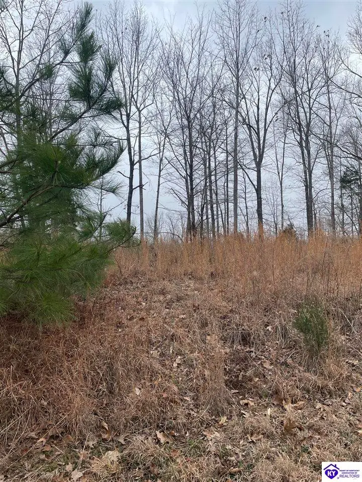 0 Sylvan Circle, Leitchfield, KY 42754 - #3