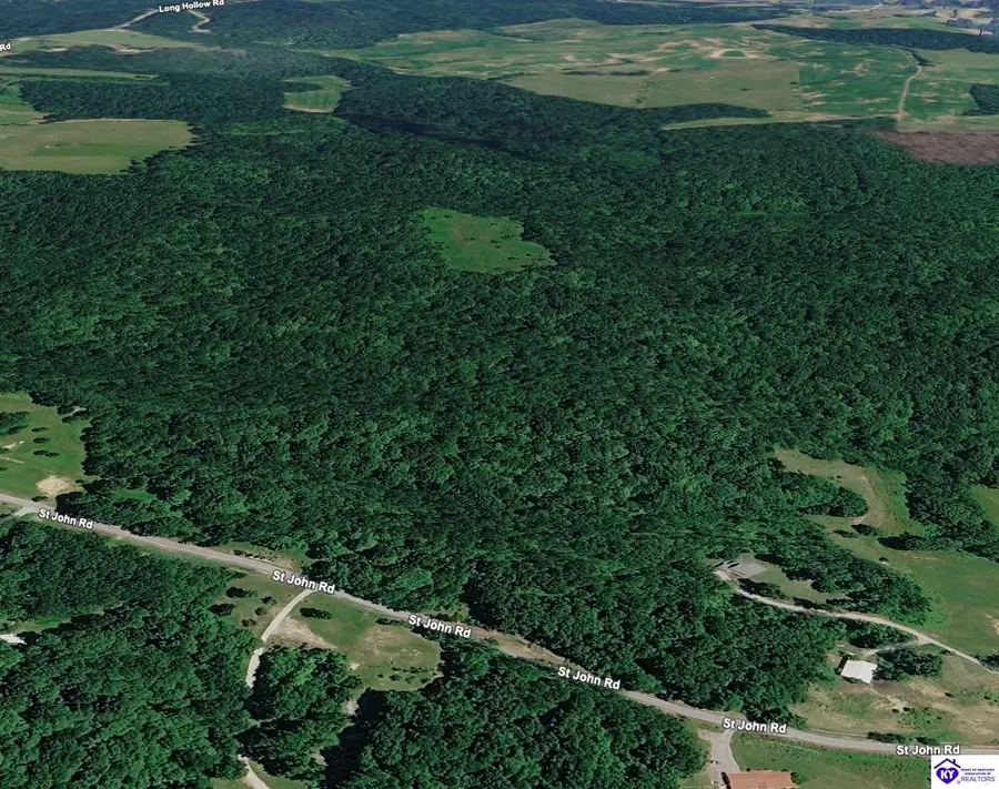 Lot 3 St John Road, Rineyville, KY 40162 - #3
