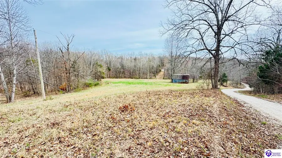 425 Macedonia Road, Falls Of Rough, KY 40119 - #2