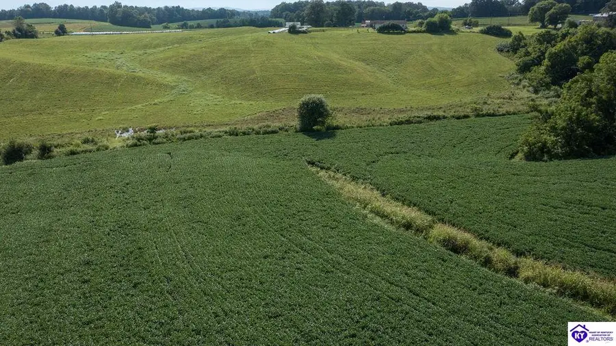 1235 Tract 1 Ira Wright Road, Summersville, KY 42782 - #2