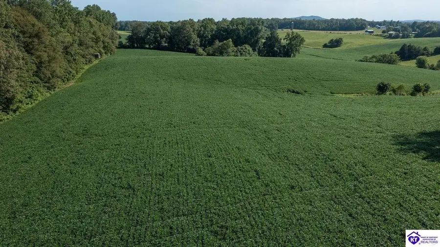 1235 Tract 1 Ira Wright Road, Summersville, KY 42782 - #3