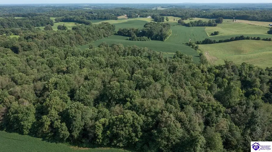 1235 Tract 5 Ira Wright Road, Summersville, KY 42782 - #2