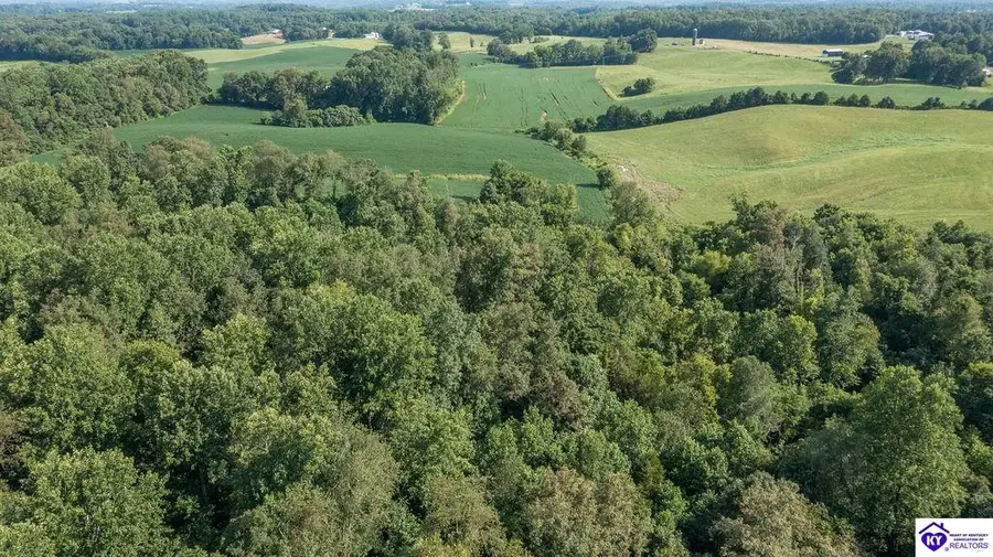 1235 Tract 5 Ira Wright Road, Summersville, KY 42782 - #3