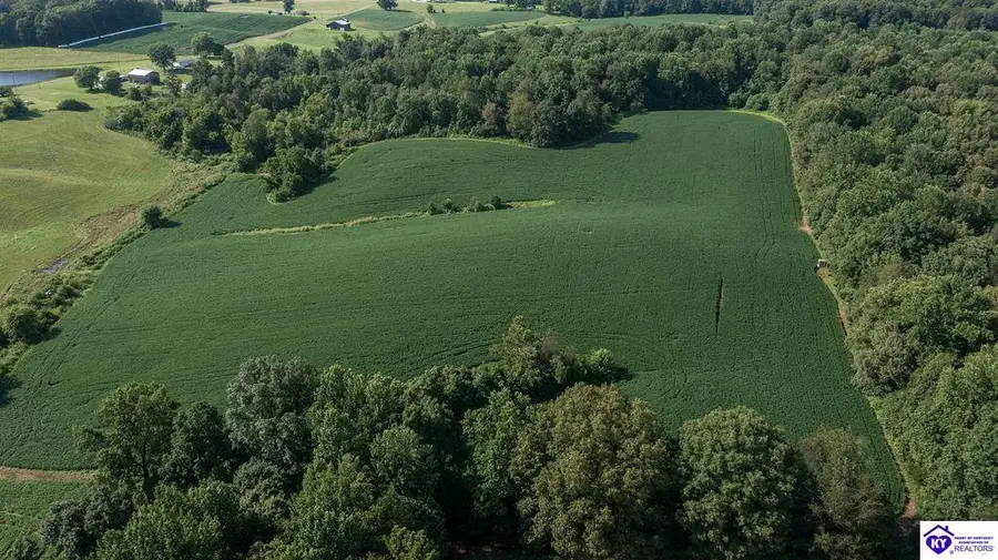 1235 Tract 6 Ira Wright Road, Summersville, KY 42743 - #2