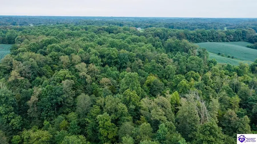 1235 Tract 6 Ira Wright Road, Summersville, KY 42743 - #3