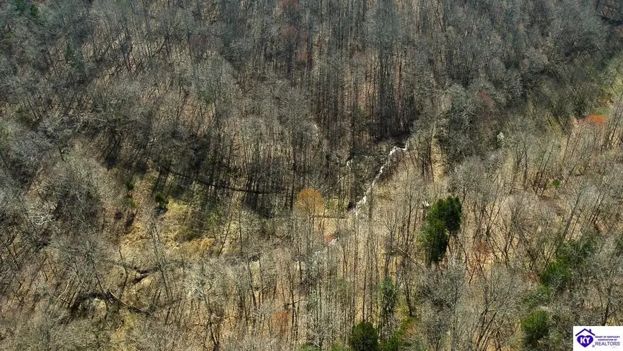 TRACT 3 Jones School Road, Mount Sherman, KY 42716 - #3