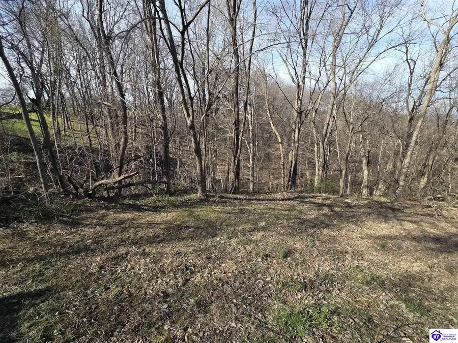 40 Stovall Road, Elizabethtown, KY 42701-6166 - #3