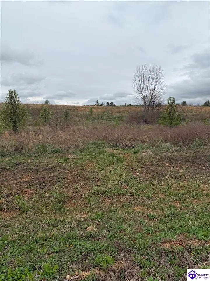 177 Diamond Court, Vine Grove, KY 40175 - #2