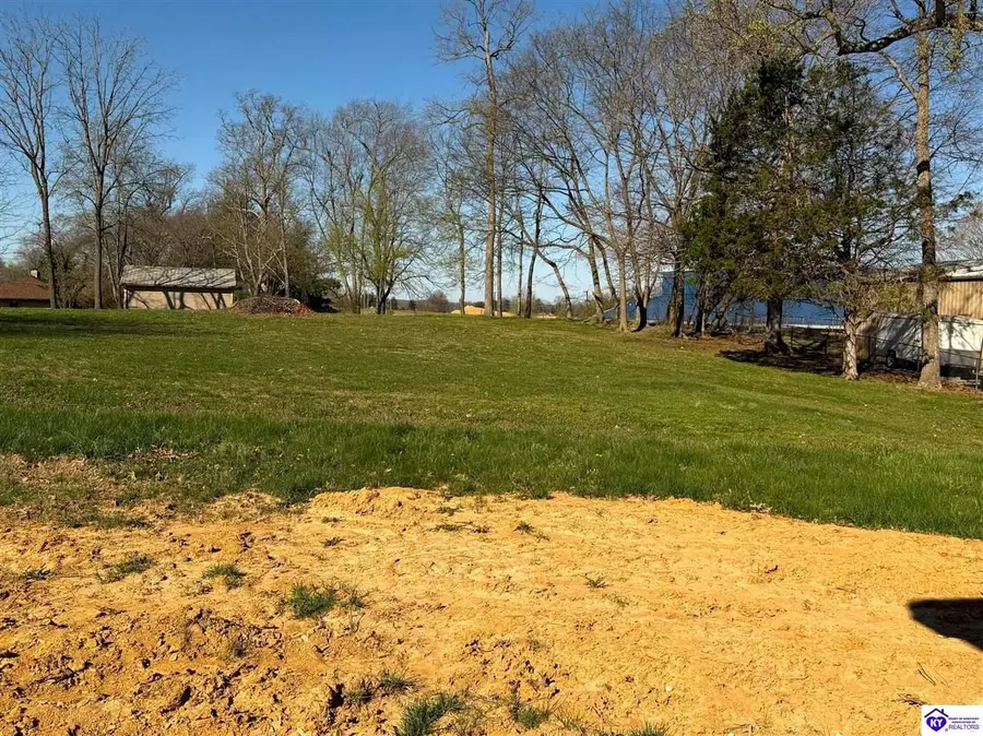 333B First Street, Vine Grove, KY 40175 - #3