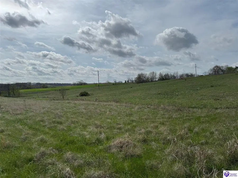 3163 S Highway 105, Hardinsburg, KY 40143 - #3