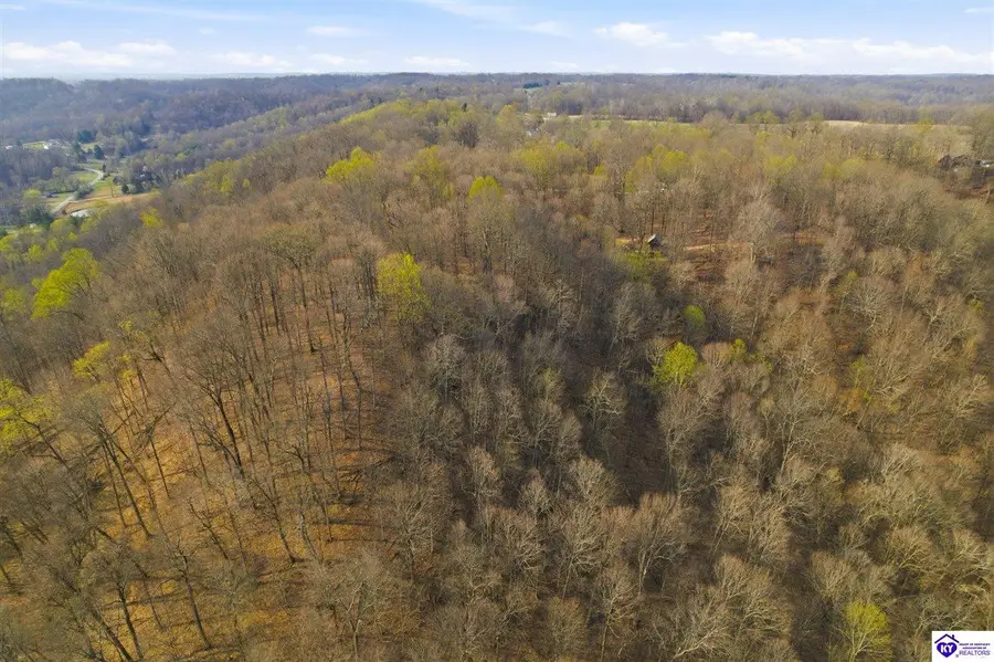 765 Mountain View Estates Road, Elizabethtown, KY 42701 - #3