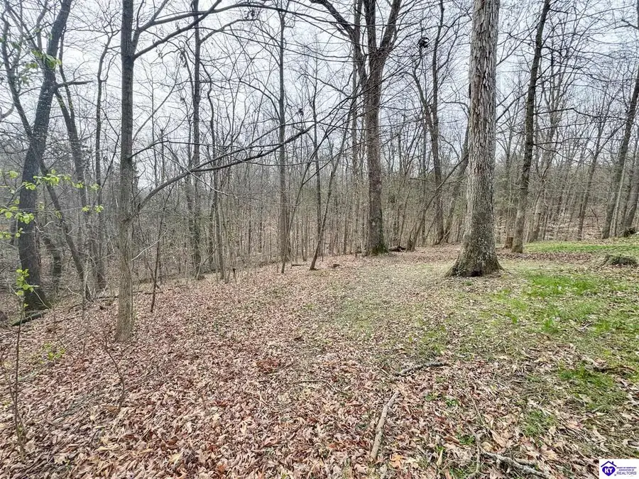 6383 Battle Training Road, Elizabethtown, KY 42701 - #2