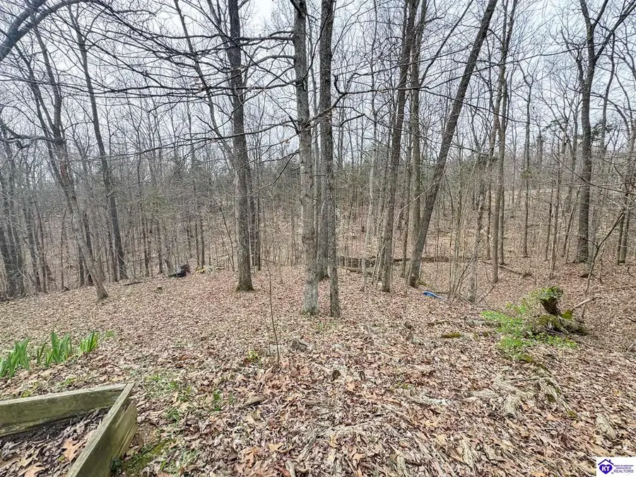 6383 Battle Training Road, Elizabethtown, KY 42701 - #3