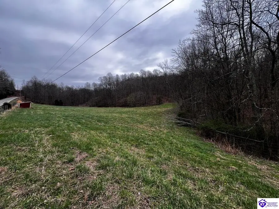 4325 Boiling Springs Road, Munfordville, KY 42765-0000 - #3