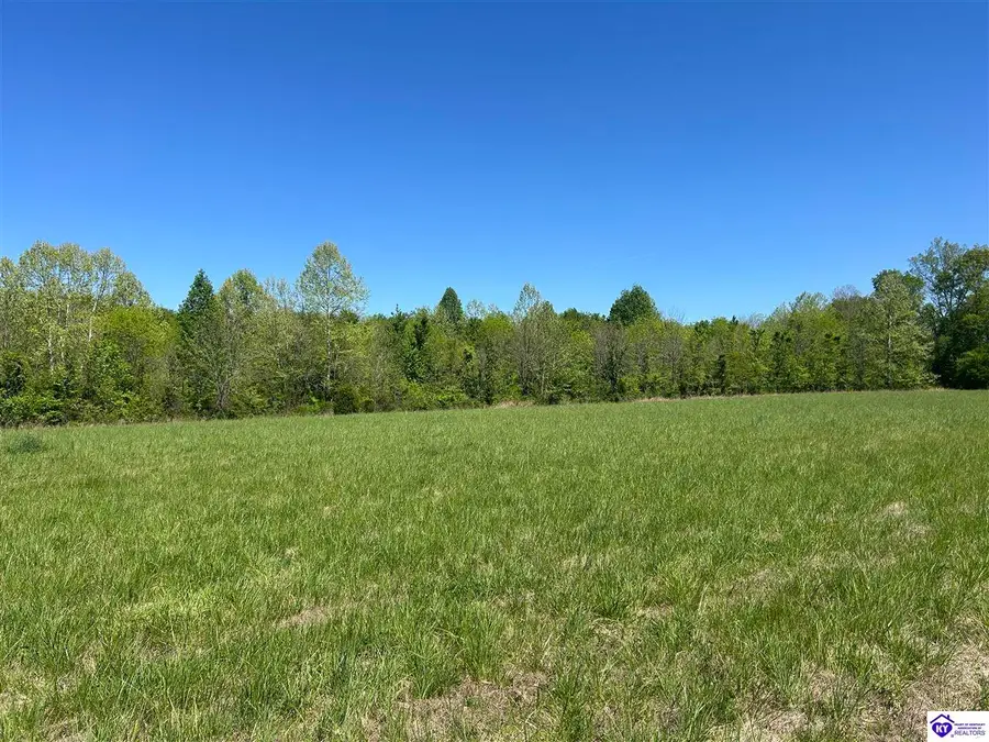 Post Tousey Road, Caneyville, KY 42721 - #2