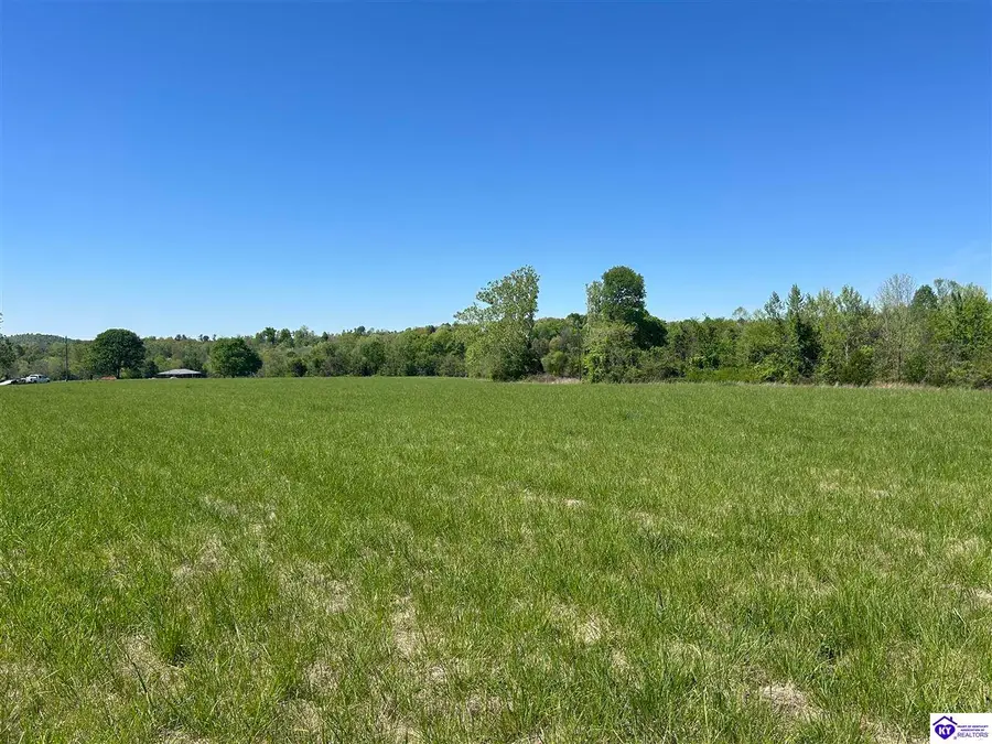 Post Tousey Road, Caneyville, KY 42721 - #3