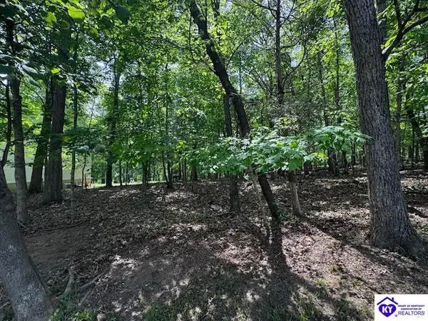 Lot 49 Bluebird Road, Brandenburg, KY 40108